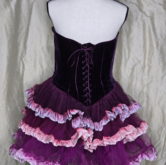 Betsy Johnson Collection Corset Dress As Worn By Chappell Roan At Coachella - Picture 3 of 9